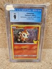 Chimchar