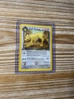 Dark Persian