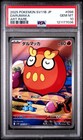 Darumaka