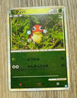Ledyba
