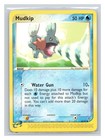 Mudkip