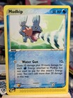 Mudkip