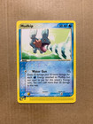 Mudkip