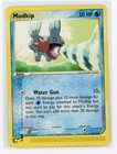Mudkip