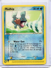 Mudkip