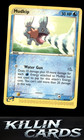 Mudkip