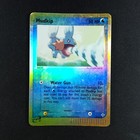 Mudkip