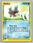 Mudkip