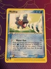 Mudkip