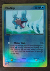 Mudkip
