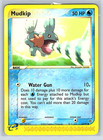 Mudkip