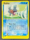 Mudkip