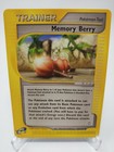 Memory Berry