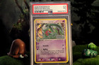 Grovyle