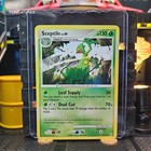 Sceptile