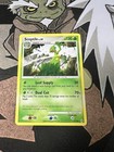 Sceptile