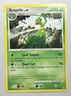 Sceptile