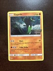 Zygarde