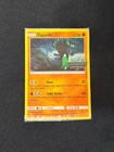 Zygarde