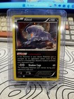 Absol