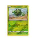 Cacnea