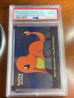Charmander-the Stray Pokemon