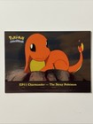 Charmander-the Stray Pokemon