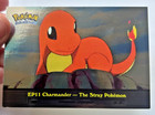 Charmander-the Stray Pokemon