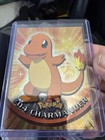 Charmander-the Stray Pokemon
