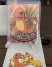 Charmander-the Stray Pokemon