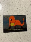Charmander-the Stray Pokemon