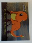 Charmander-the Stray Pokemon