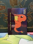 Charmander-the Stray Pokemon