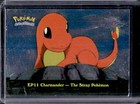 Charmander-the Stray Pokemon