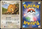 Raticate
