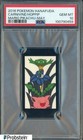Carnivine, Hoppip