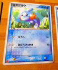 Mudkip