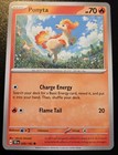 Ponyta
