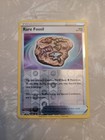 Rare Fossil