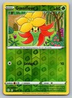 Gossifleur
