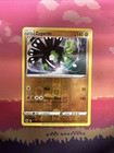 Zygarde