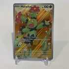Maractus