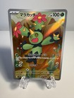 Maractus