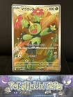 Maractus