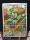 Maractus