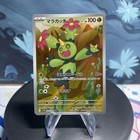 Maractus