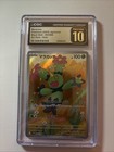 Maractus