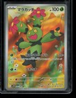 Maractus