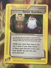 Forest Guardian
