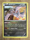 Reshiram